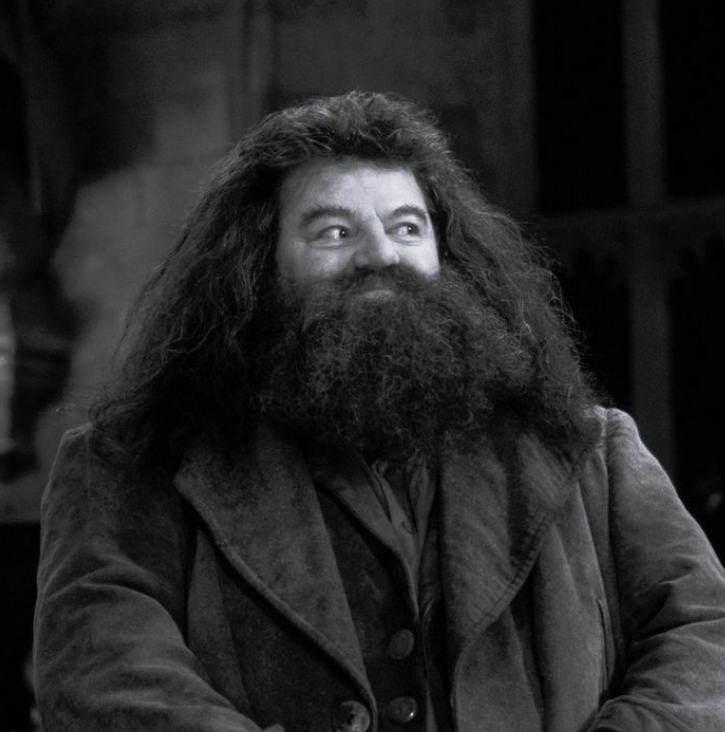 Harry Potter Actor Robbie Coltrane Passes Away, Tributes Pour In From ...